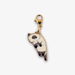 Gato blanco