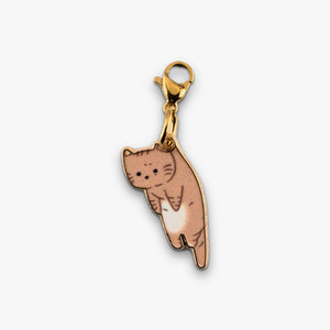 Gato atigrado
